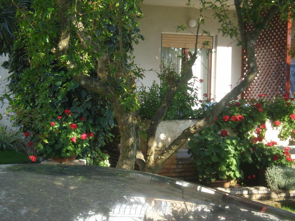 Apartment Ms Πούλα Εξωτερικό φωτογραφία